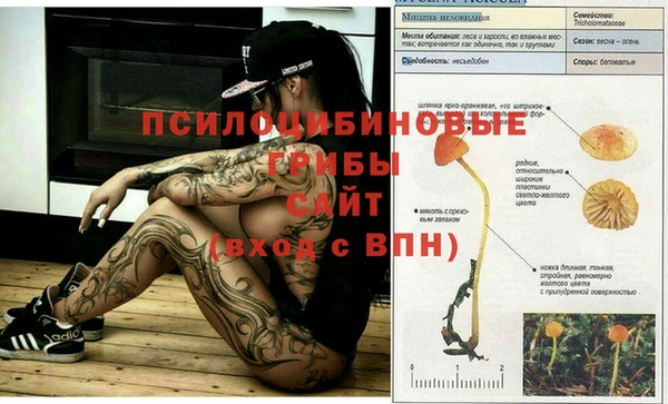 мет Михайлов