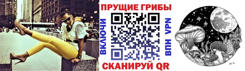где найти   Алексеевка  Галлюциногенные грибы прущие грибы 