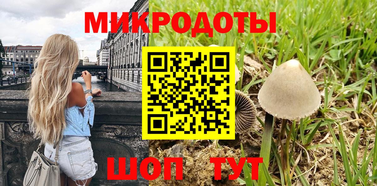 Галлюциногенные грибы прущие грибы  Алексеевка 