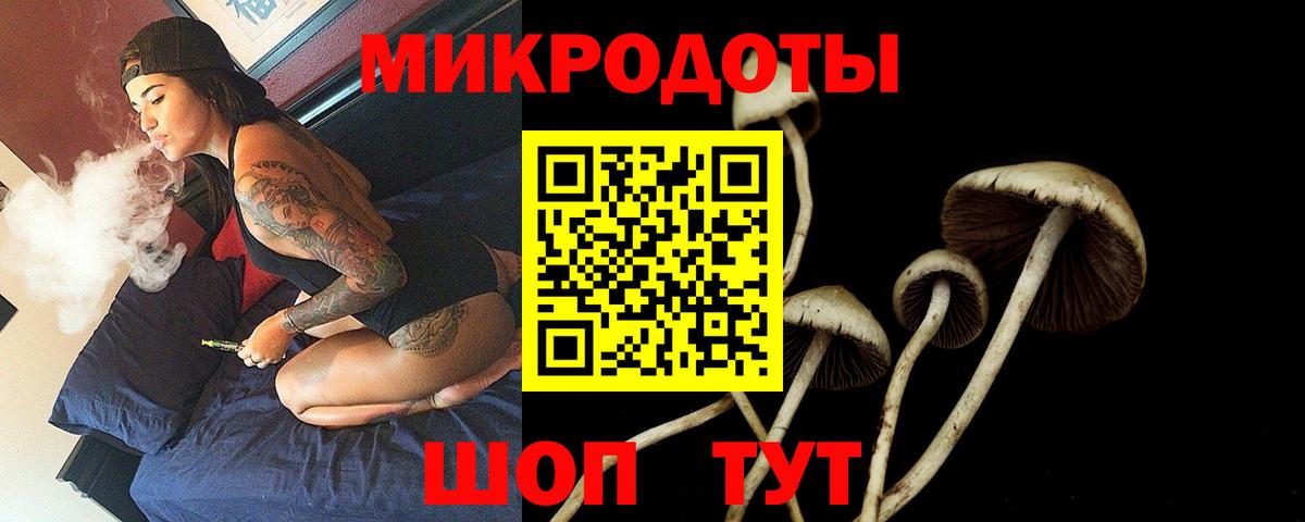 купить закладку  Галлюциногенные грибы ЛСД  Вход с VPN  Алексеевка 